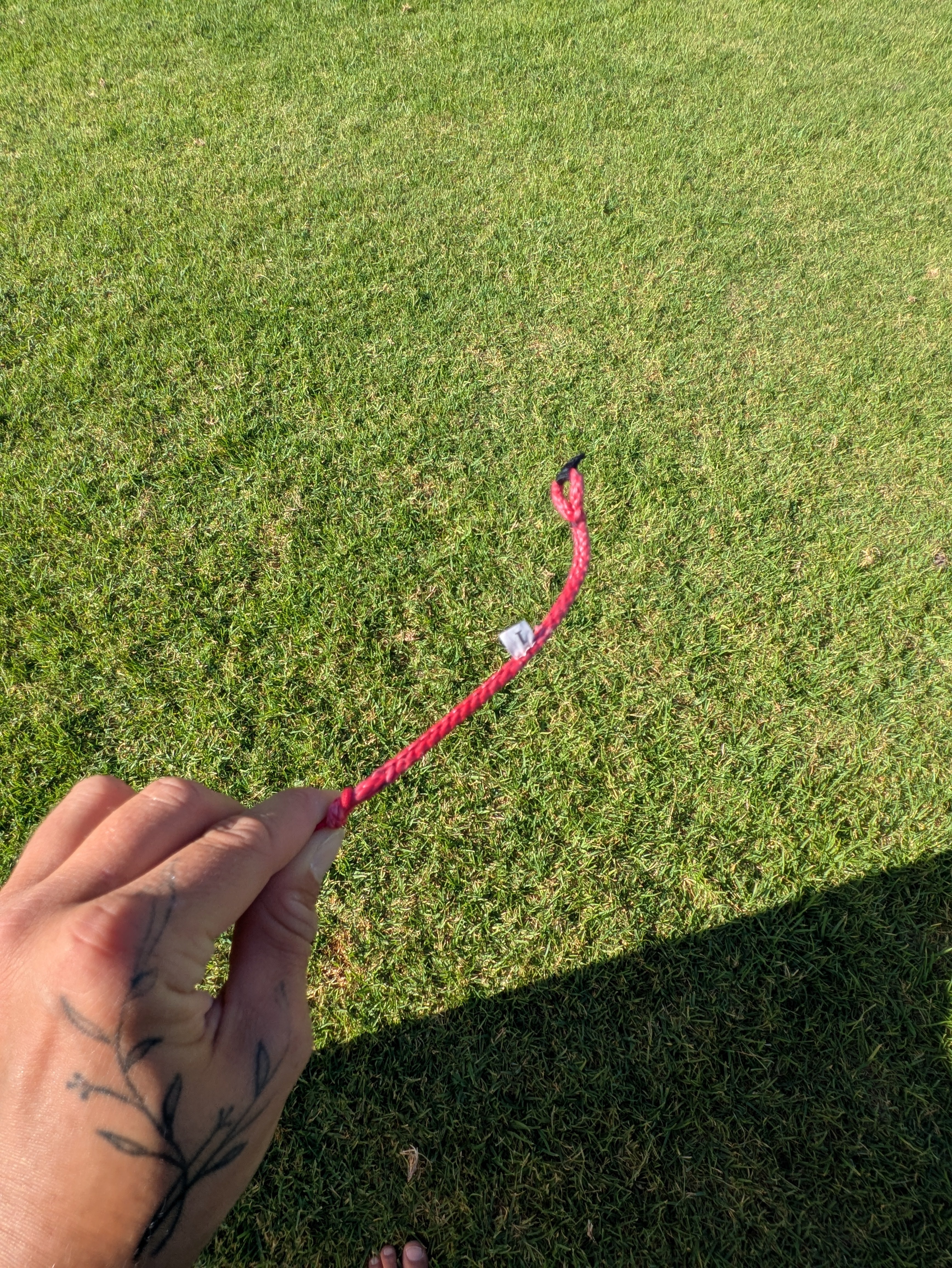Ozone Catalyst V3 4m - USED