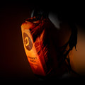 Ozone Parawing Mission Bag